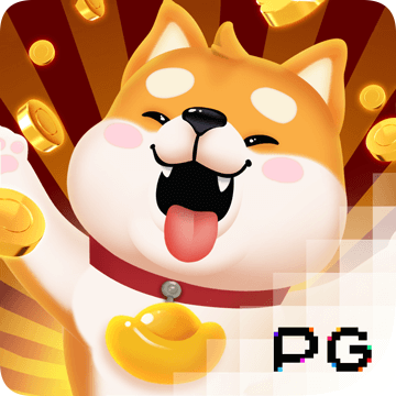 6t平台app体育